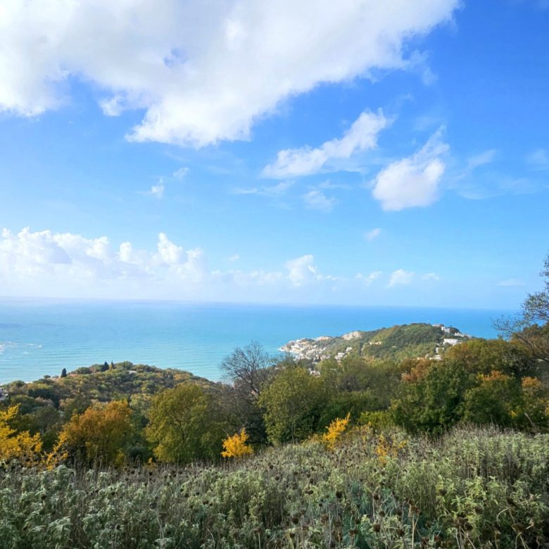 Land plot with an old stone house — Montenegro