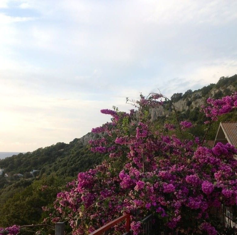 Villa for sale in Kruce — Montenegro