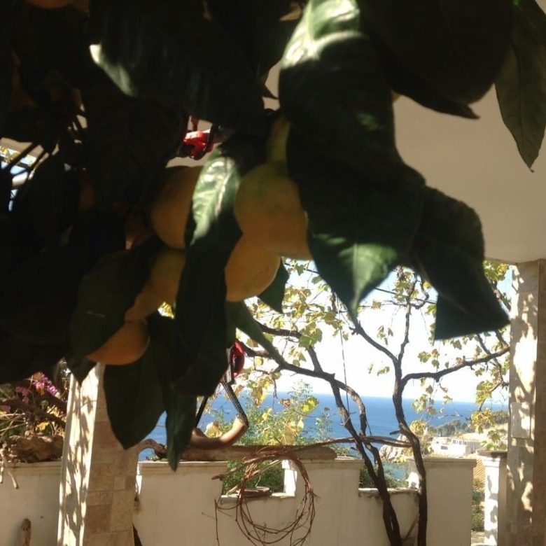 Villa for sale in Kruce — Montenegro