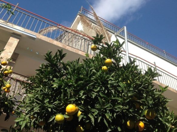 Legal three-floor house for sale in Kruče, Montenegro, just 100 meters from the sea. Total area 420 m² plus roof terrace, multiple kitchens and bedrooms, ideal for family living or mini-hotel use.