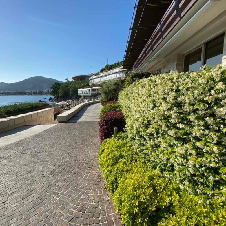 Apartment for Sale in Dukley Gardens, Budva – Waterfront Complex — Montenegro