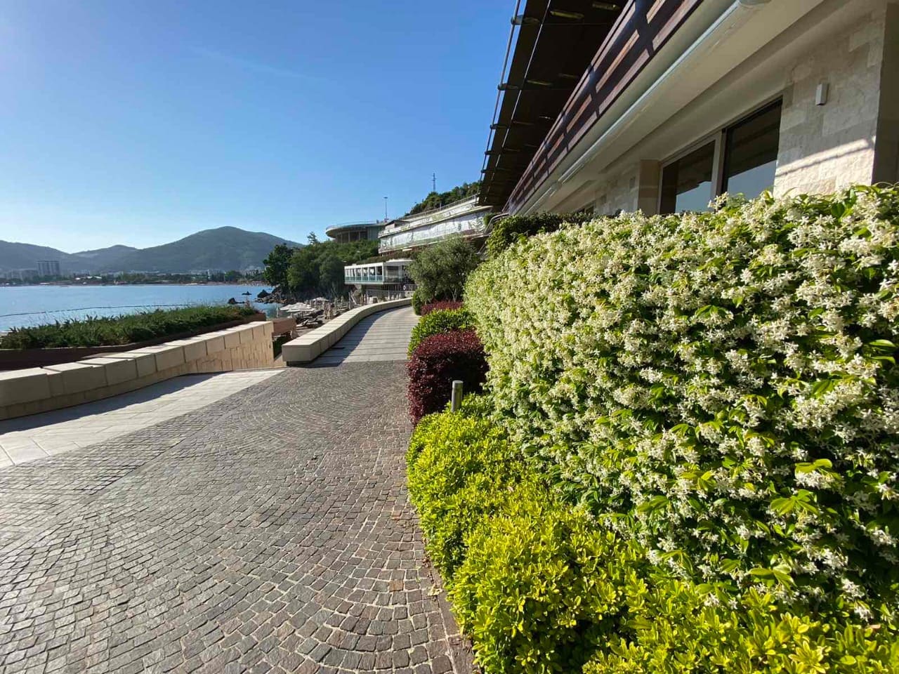 Apartment for Sale in Dukley Gardens, Budva – Waterfront Complex — Montenegro