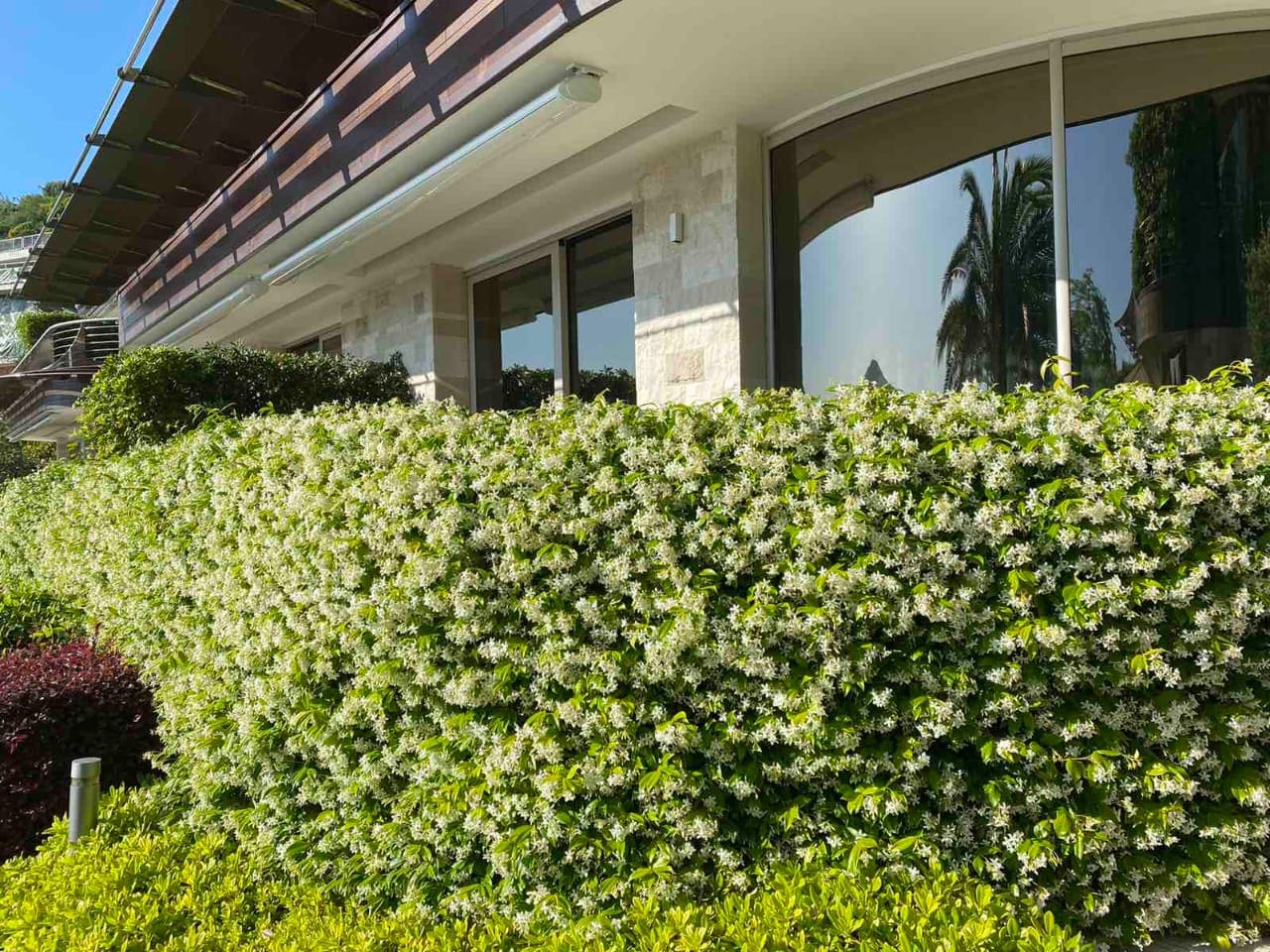 Apartment for Sale in Dukley Gardens, Budva – Waterfront Complex — Montenegro