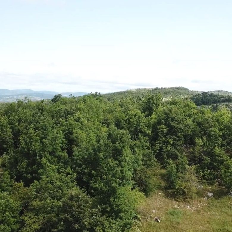 Land plot for sale in Vilusi-Montenegro — Montenegro