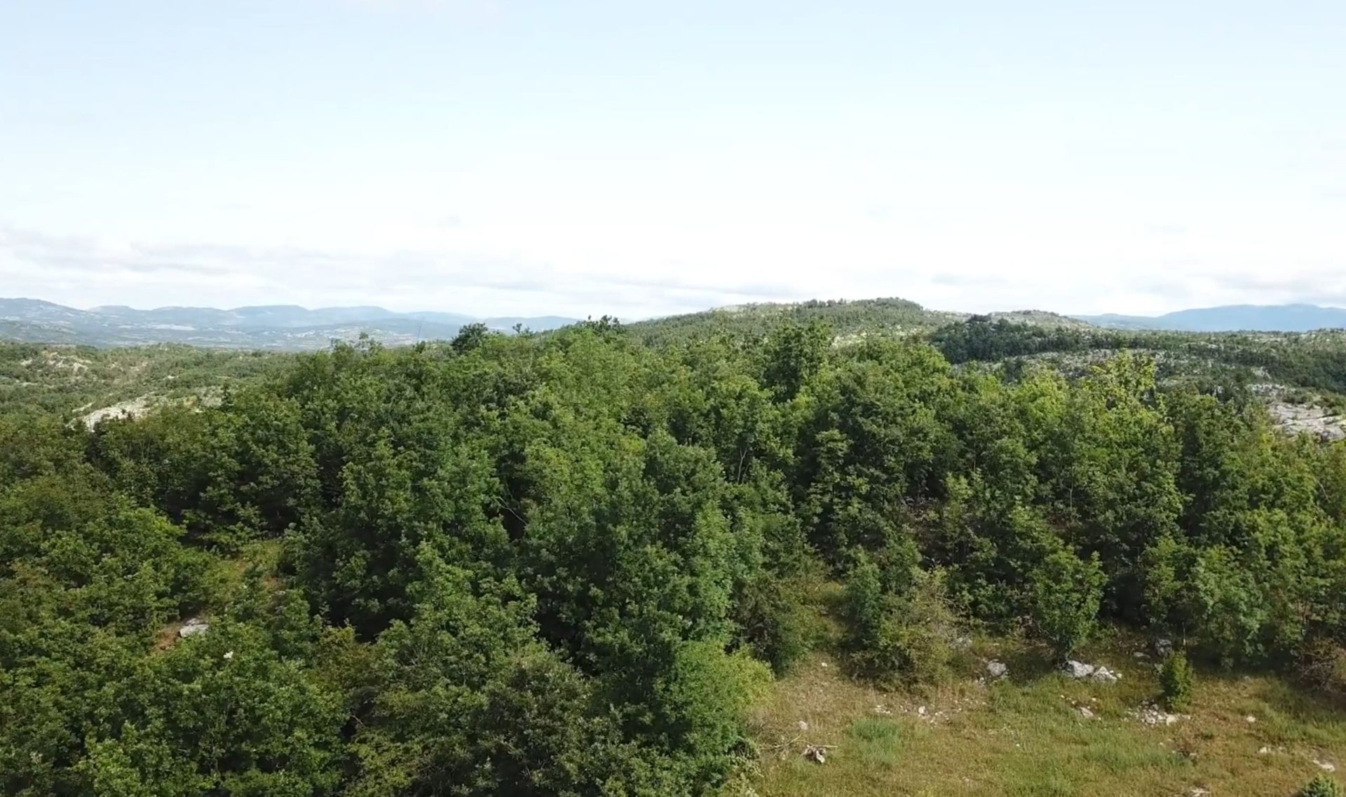 Land plot for sale in Vilusi-Montenegro — Montenegro