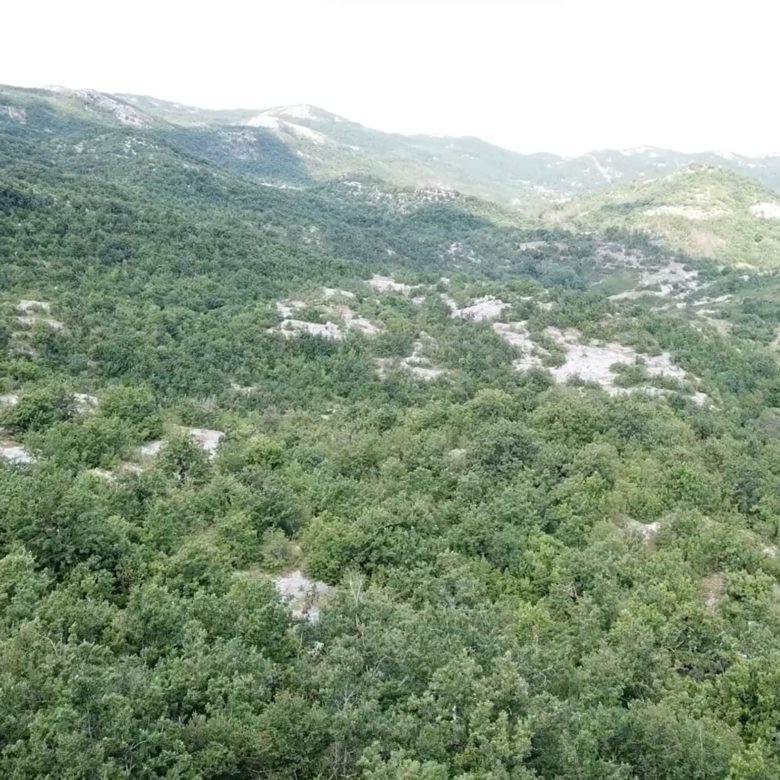 Land plot for sale in Vilusi-Montenegro — Montenegro