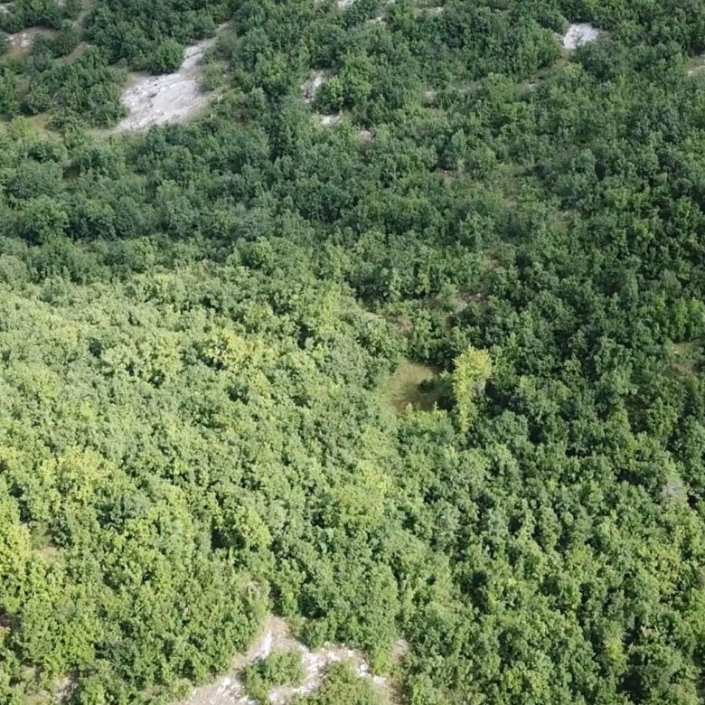 Land plot for sale in Vilusi-Montenegro — Montenegro