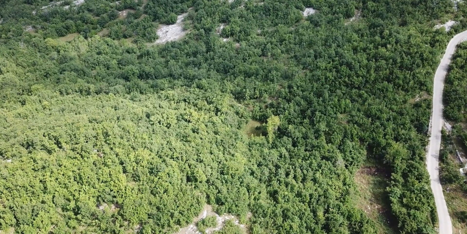 Land plot for sale in Vilusi-Montenegro — Montenegro