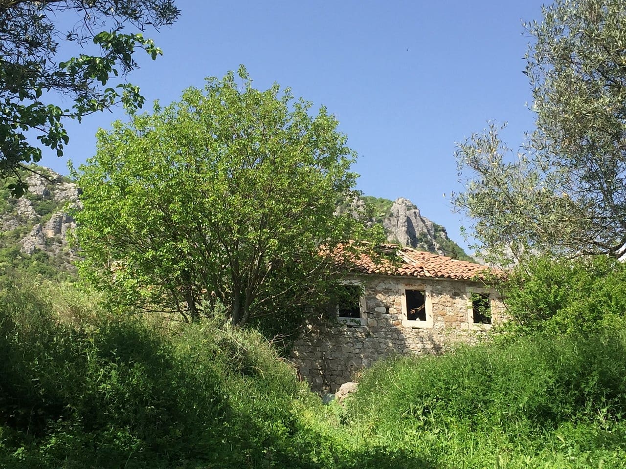 Land plot for sale in Podi-Montenegro — Montenegro