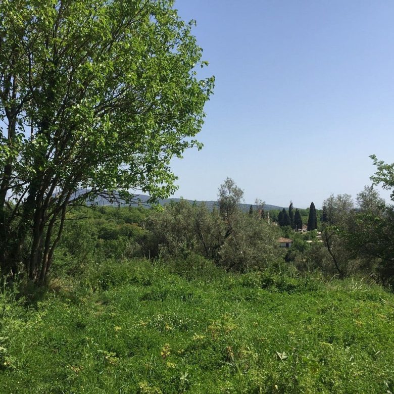 Land plot for sale in Podi-Montenegro — Montenegro