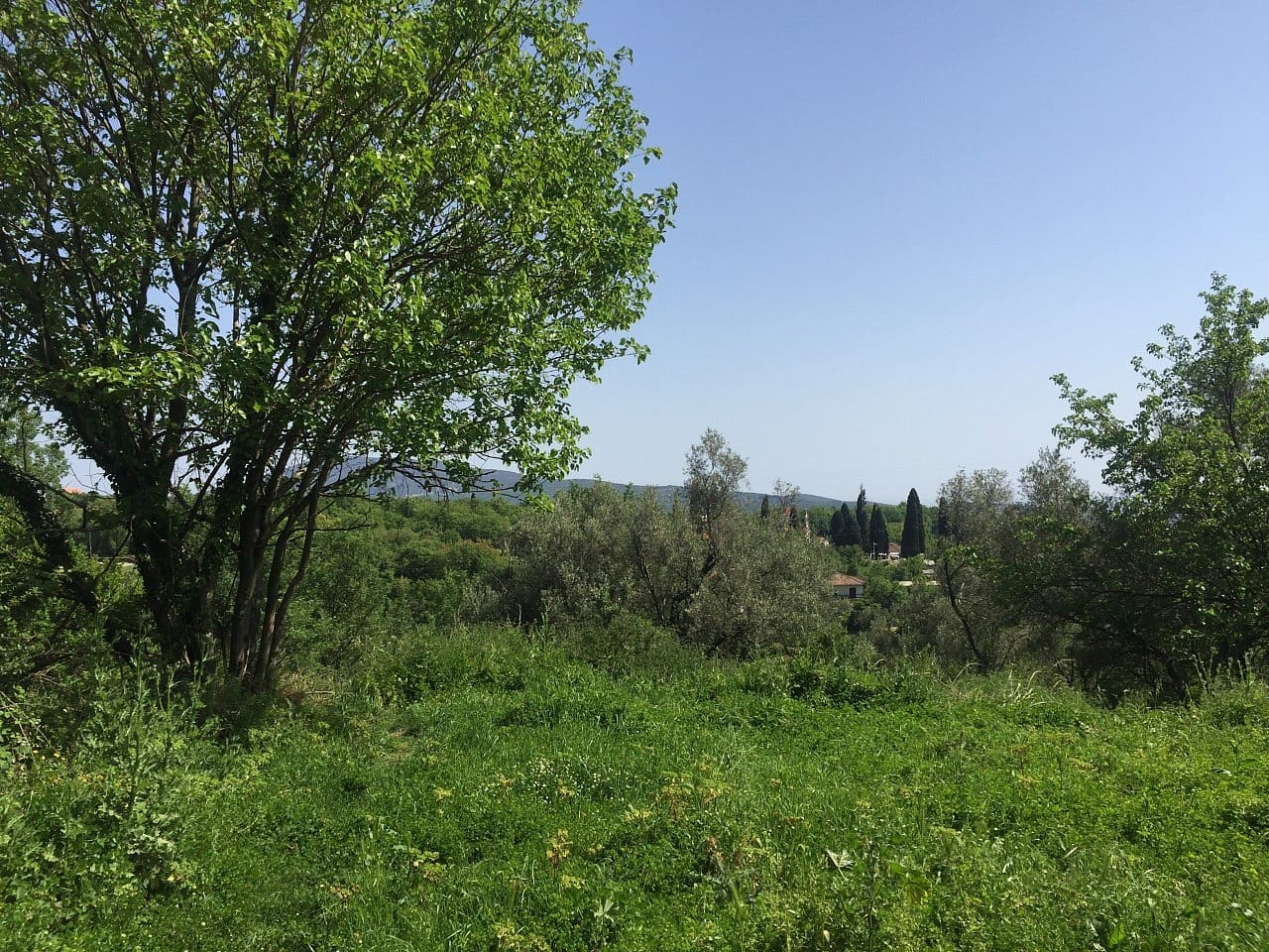 Land plot for sale in Podi-Montenegro — Montenegro