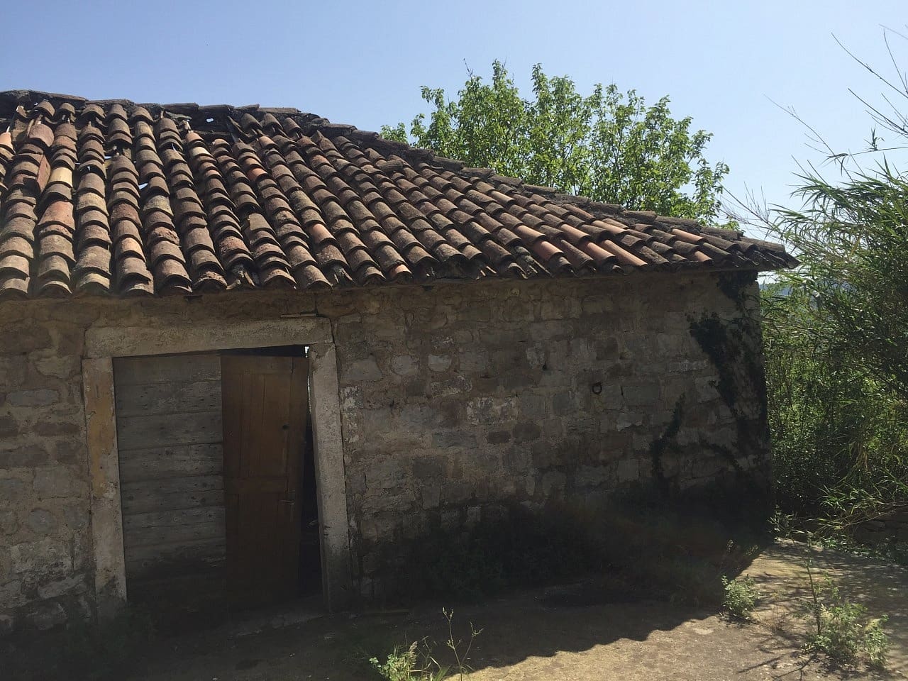 Land plot for sale in Podi-Montenegro — Montenegro