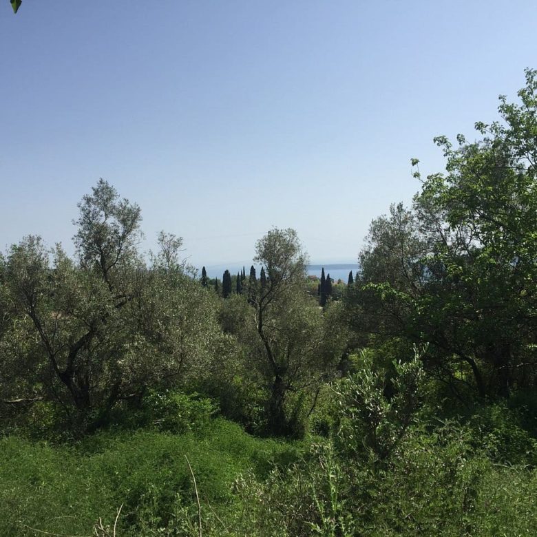 Land plot for sale in Podi-Montenegro — Montenegro