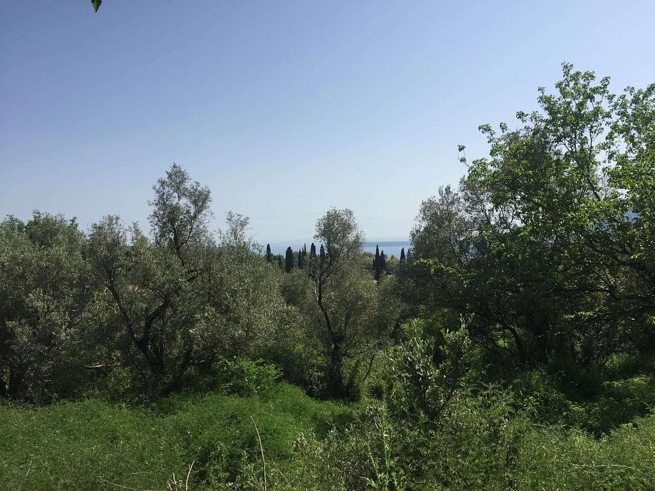 Land plot for sale in Podi-Montenegro — Montenegro