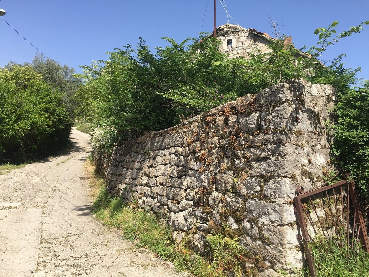 Land plot for sale in Podi-Montenegro — Montenegro