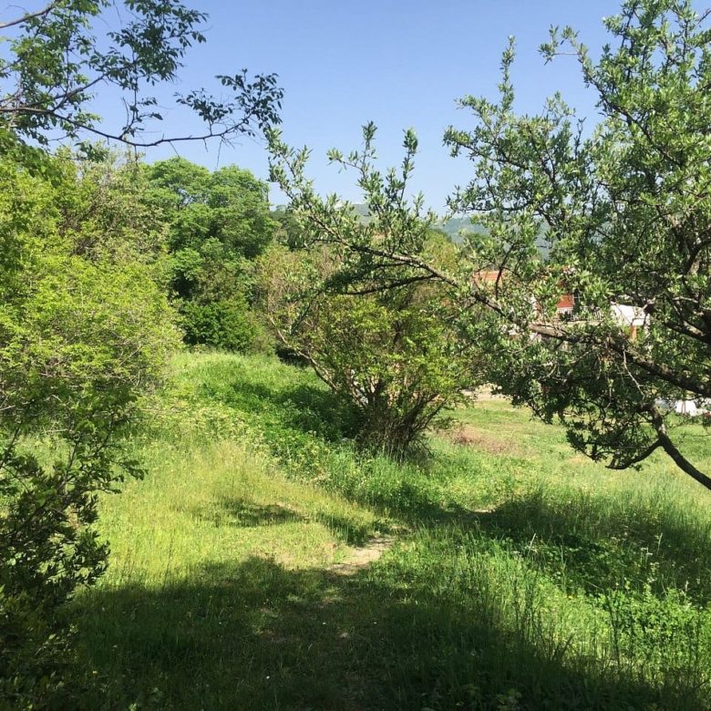 Land plot for sale in Podi-Montenegro — Montenegro