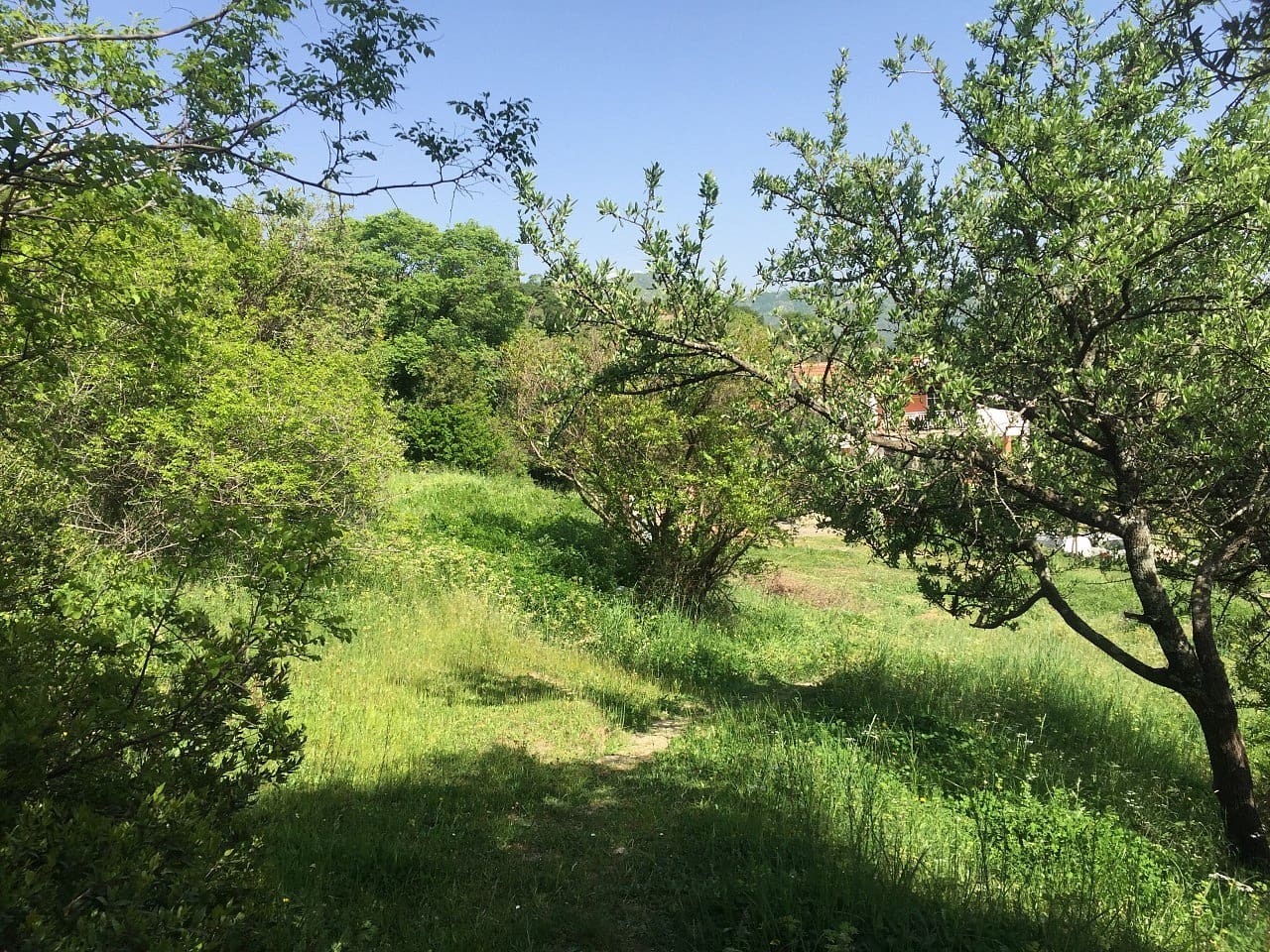 Land plot for sale in Podi-Montenegro — Montenegro