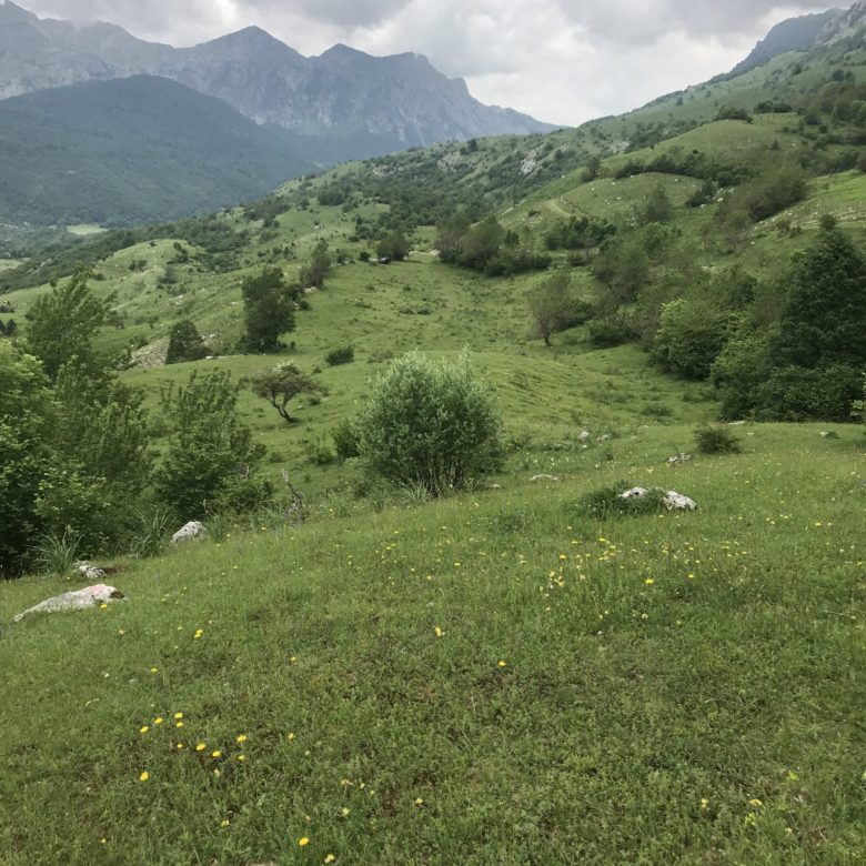 Land plot for sale in Lipovo-Kolasin — Montenegro