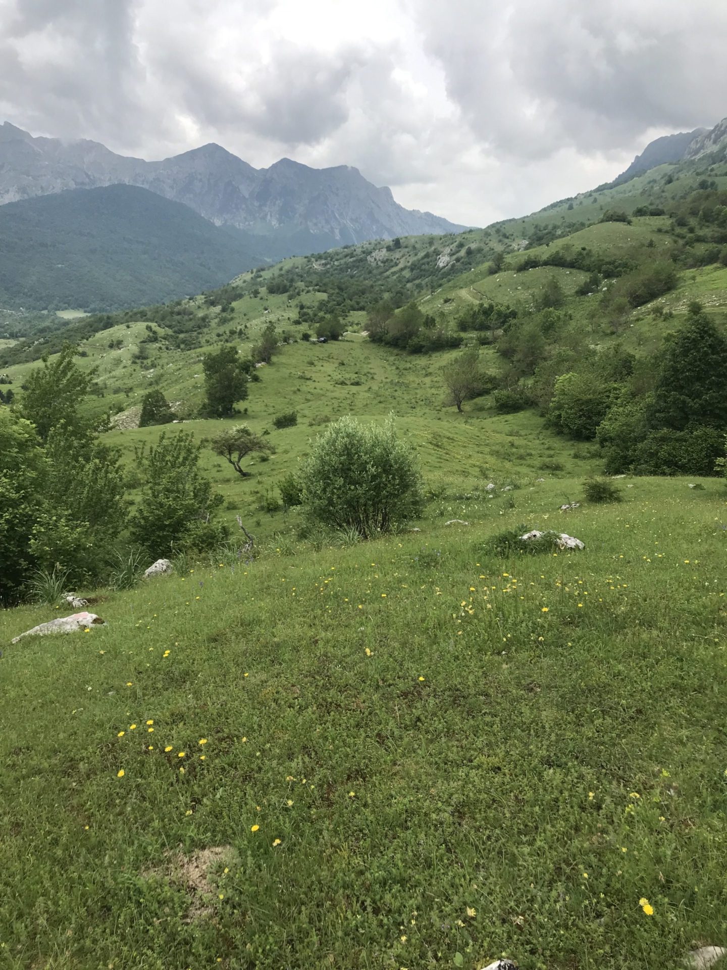 Land plot for sale in Lipovo-Kolasin — Montenegro