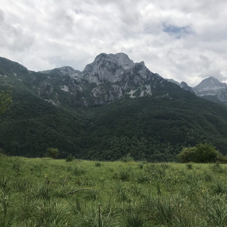 Land plot for sale in Lipovo-Kolasin — Montenegro