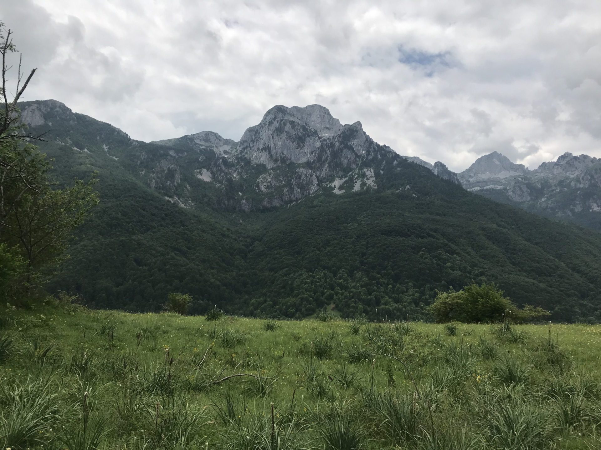 Land plot for sale in Lipovo-Kolasin — Montenegro