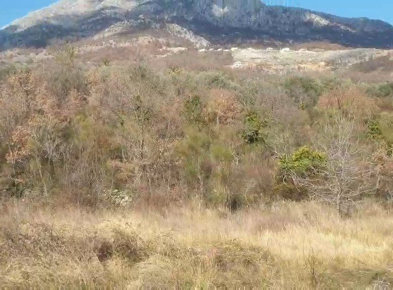 Land plot for sale in Montenegro — Montenegro