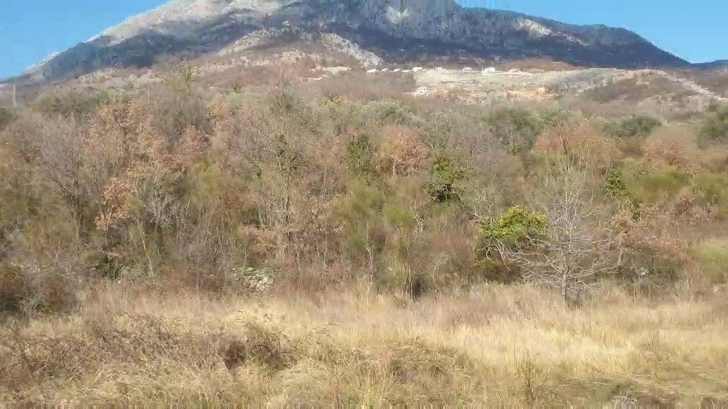 Land plot for sale in Montenegro — Montenegro