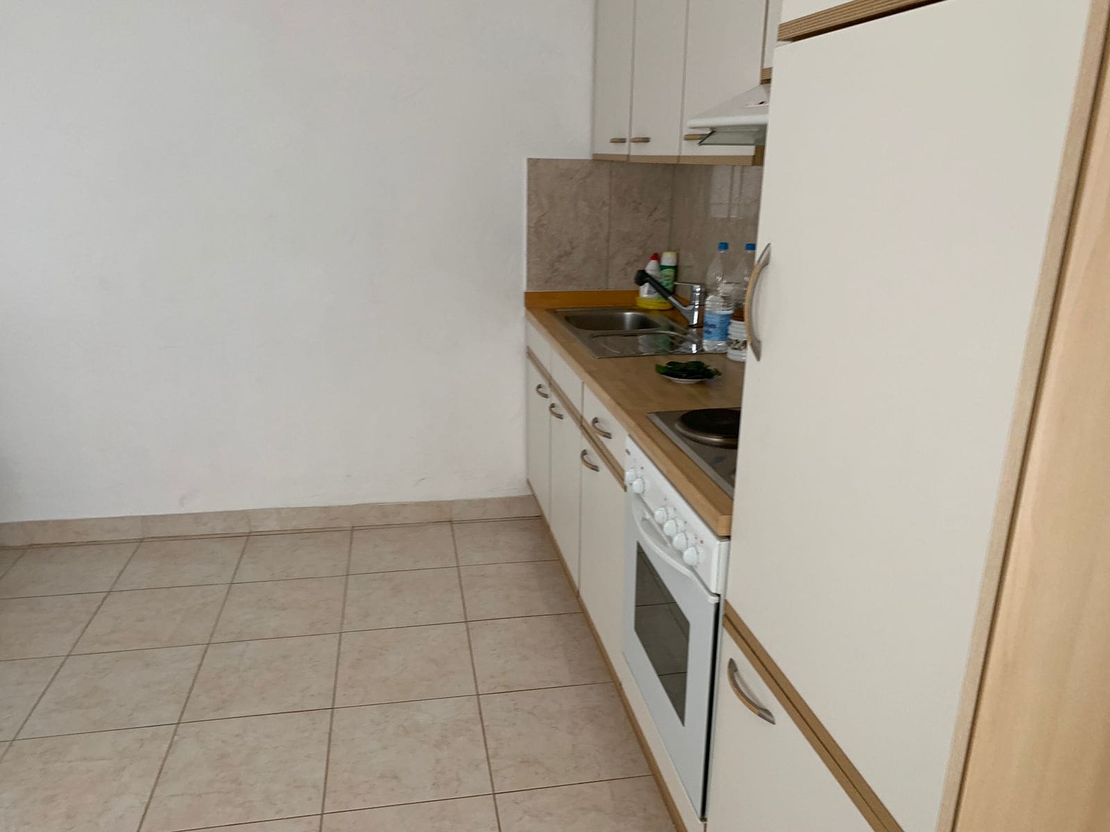 House 128sqm and apartment 71sqm for sale — Montenegro