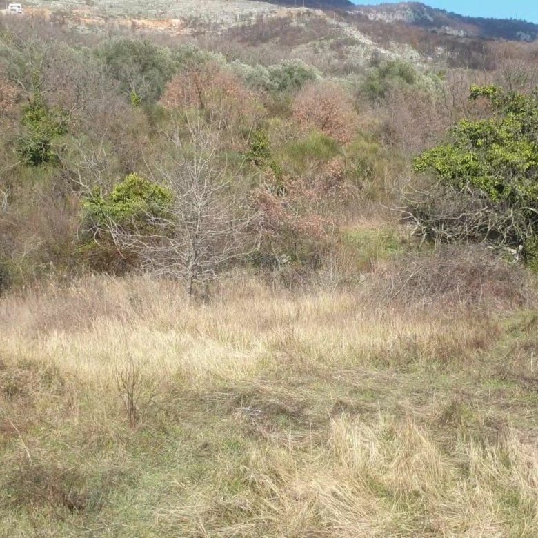 Land plot for sale in Montenegro — Montenegro