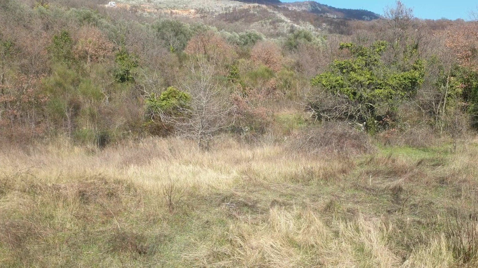 Land plot for sale in Montenegro — Montenegro