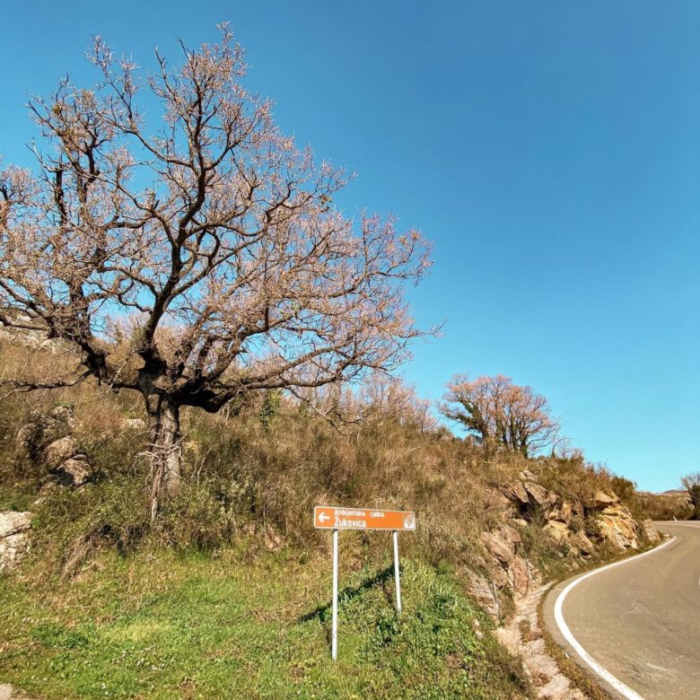 Petrovac Land plots for sale — Montenegro