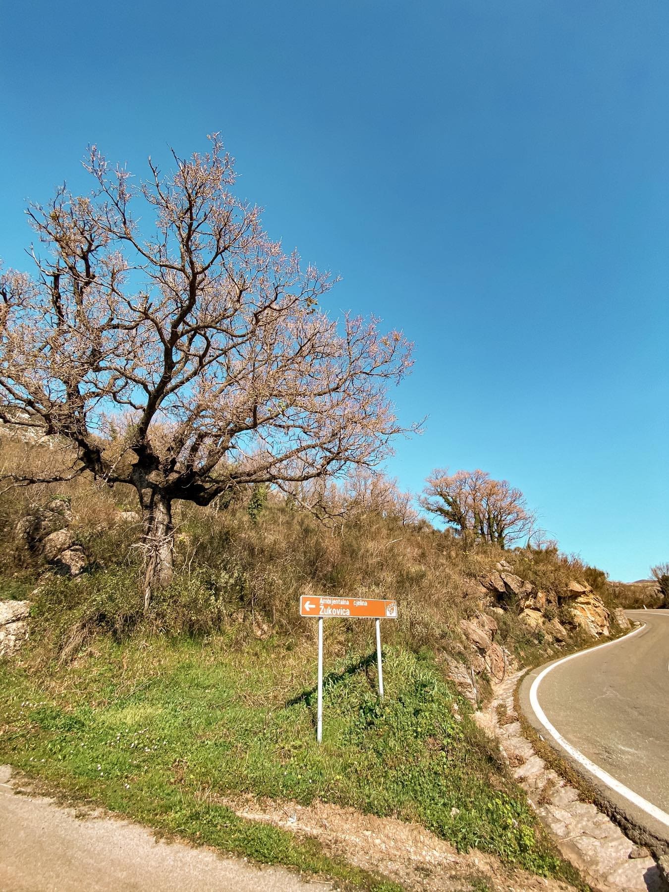 Petrovac Land plots for sale — Montenegro