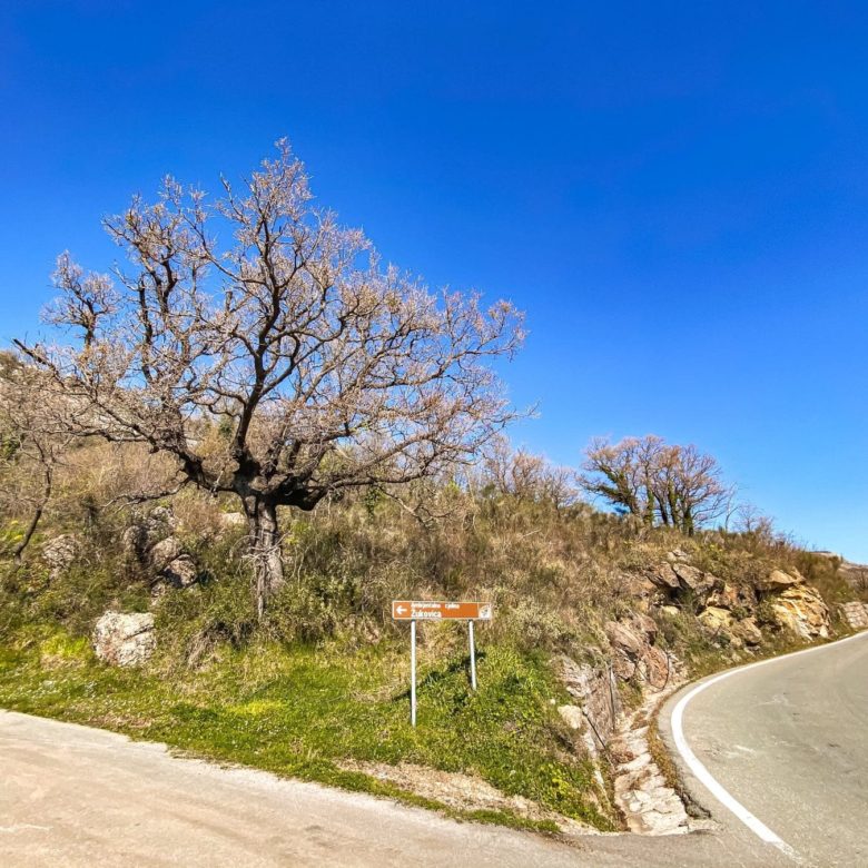 Petrovac Land plots for sale — Montenegro