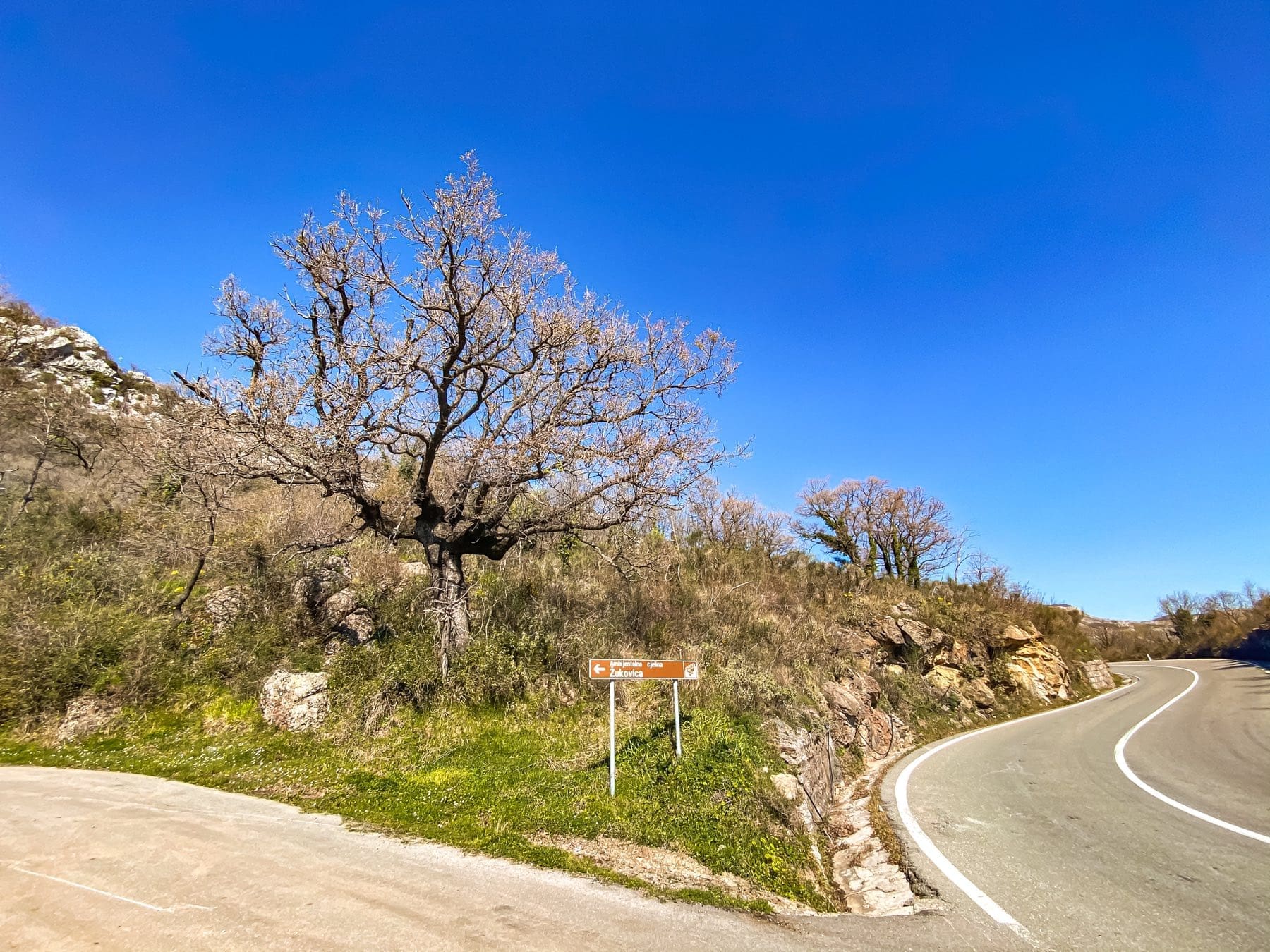 Petrovac Land plots for sale — Montenegro