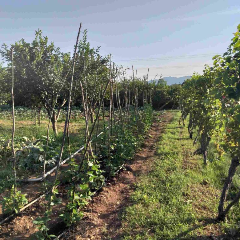 House for sale in Danilovgrad — Montenegro