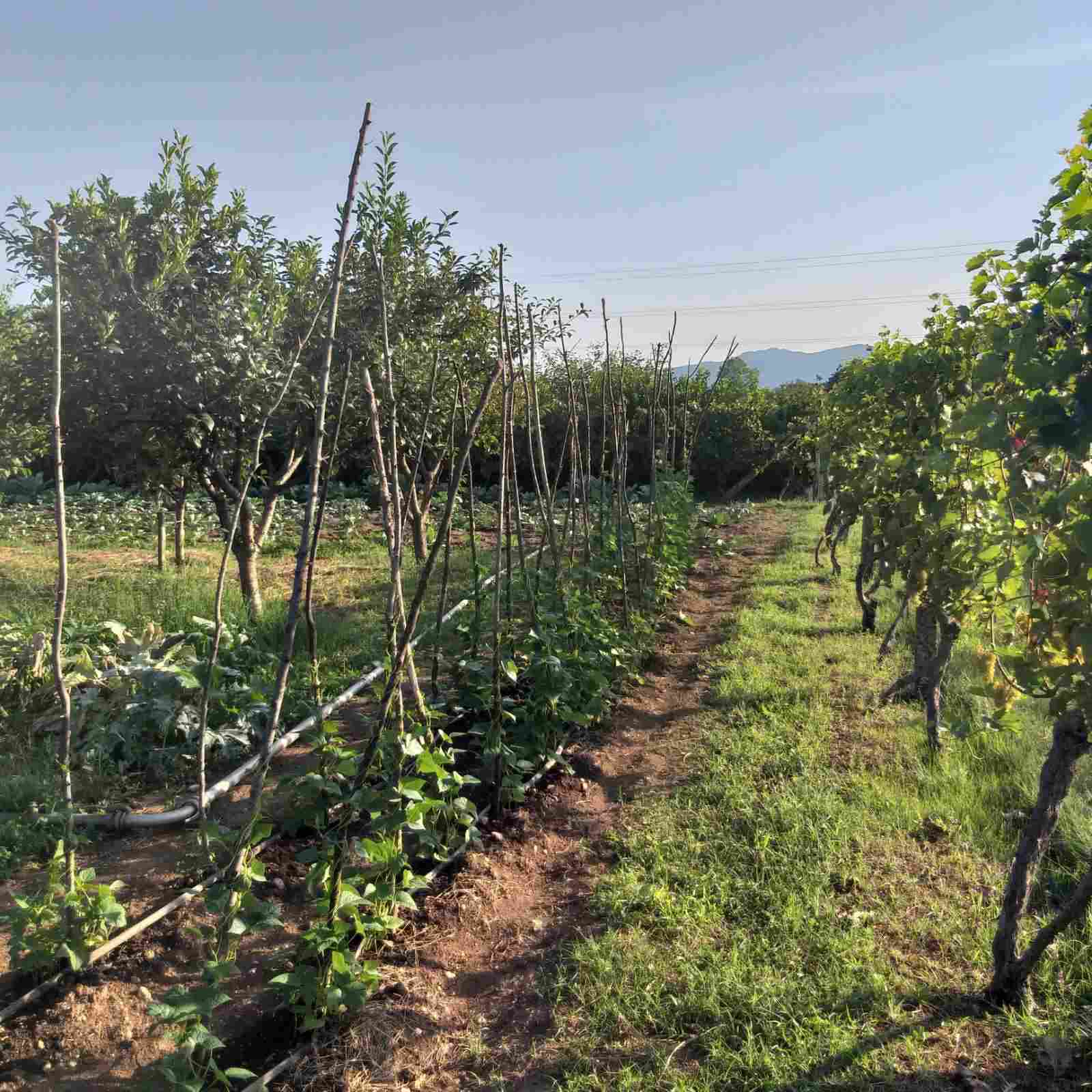 House for sale in Danilovgrad — Montenegro