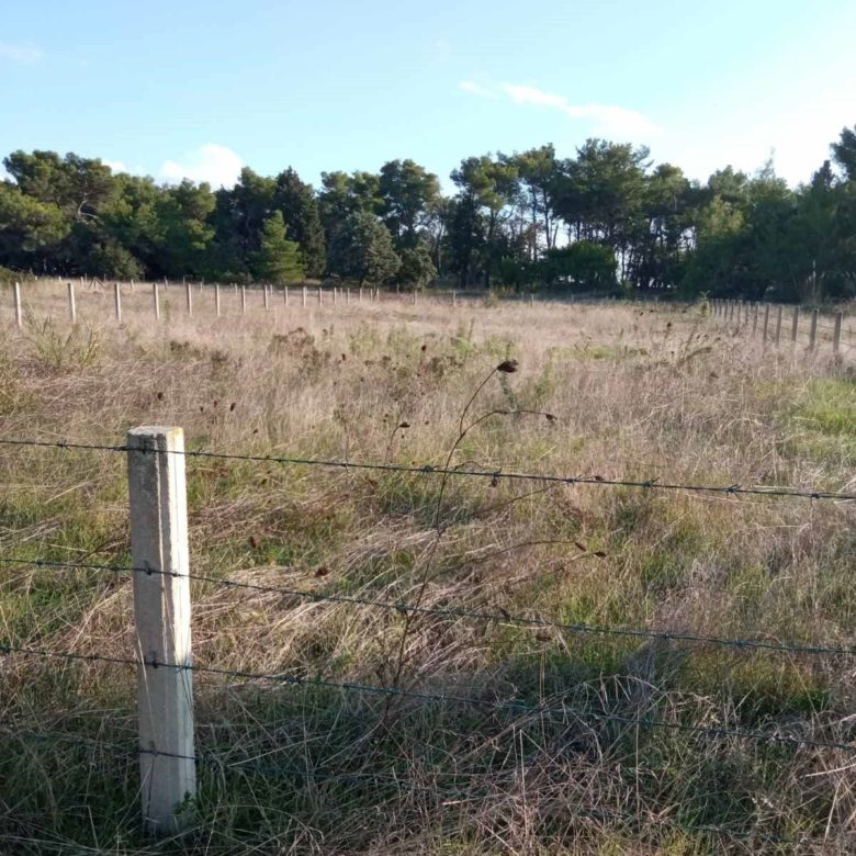 Seafront land plot for sale in Ulcinj — Montenegro