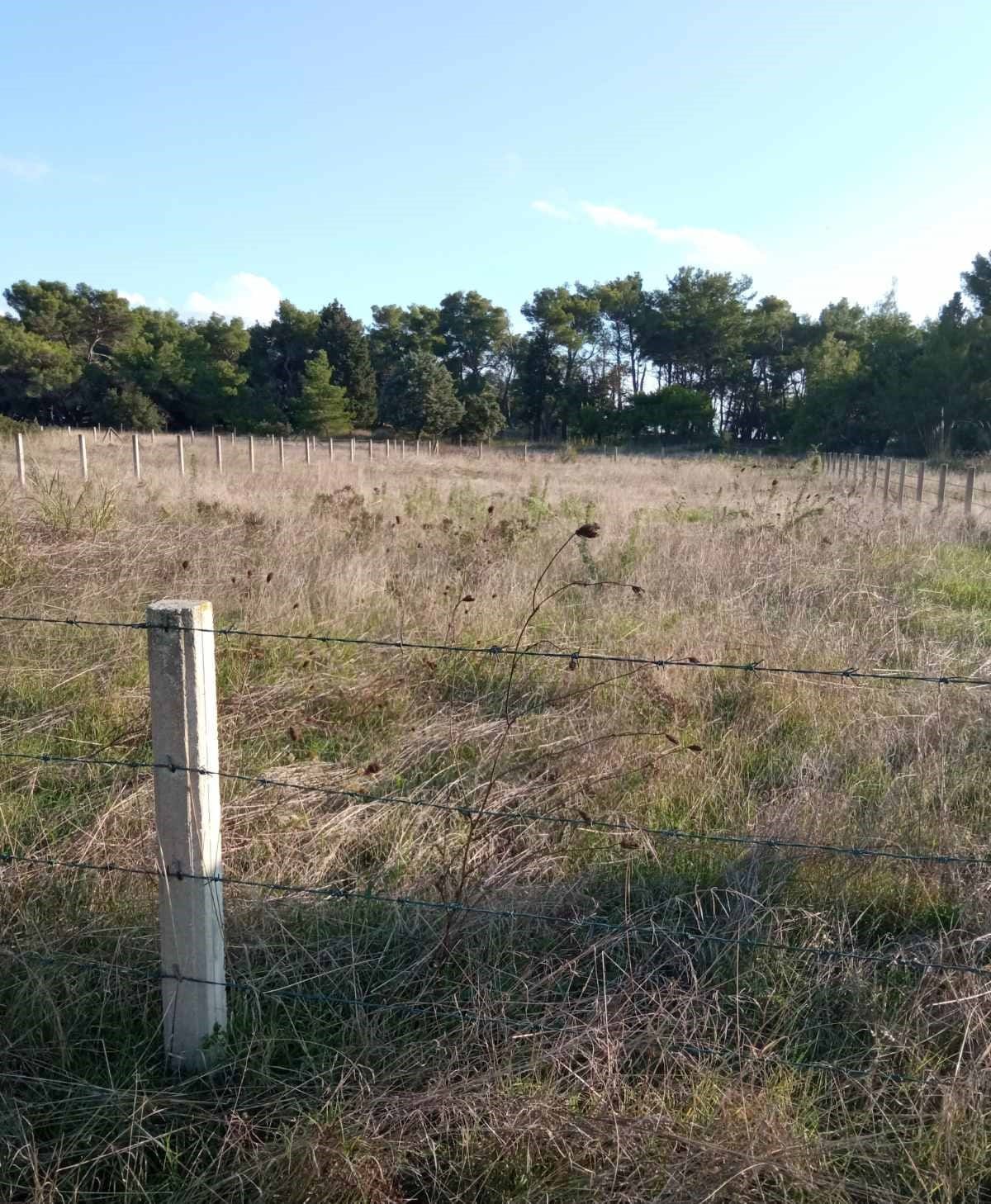 Seafront land plot for sale in Ulcinj — Montenegro
