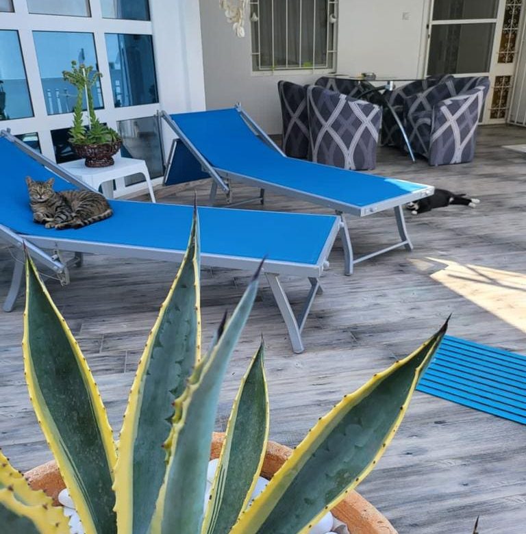 Villa for sale in Dobra Voda — Montenegro