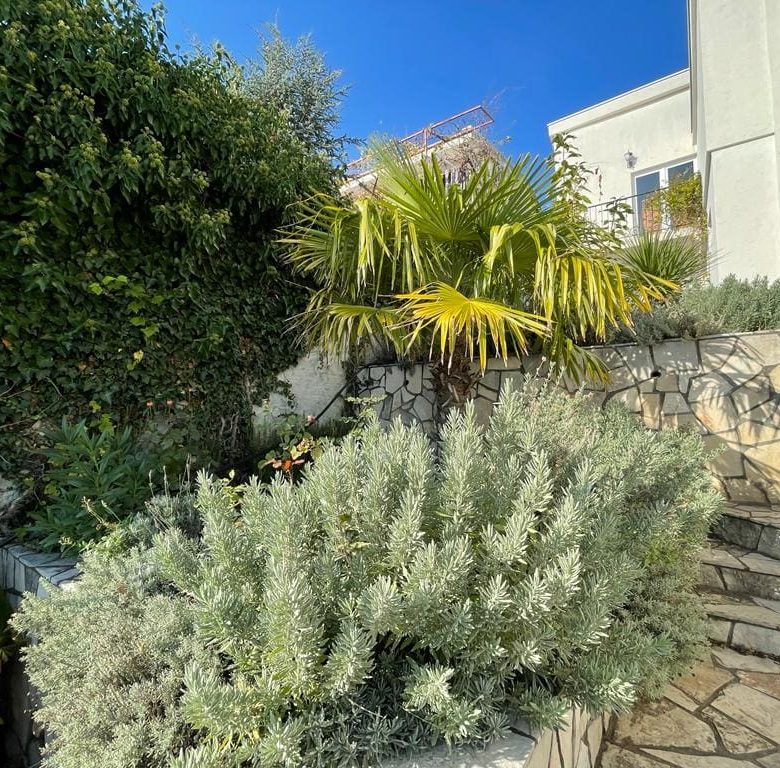 Villa for sale in Zagradje Sutomore — Montenegro