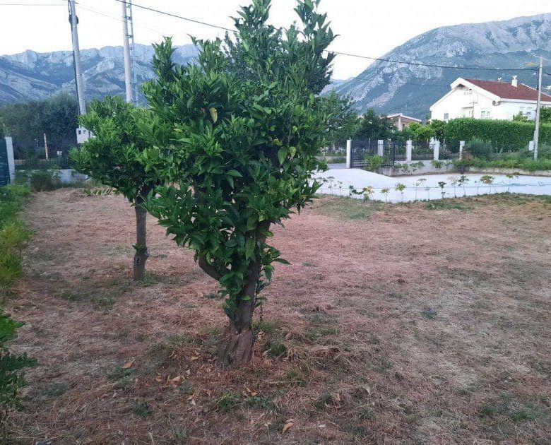 Bar'da satılık şirin ev — Karadağ