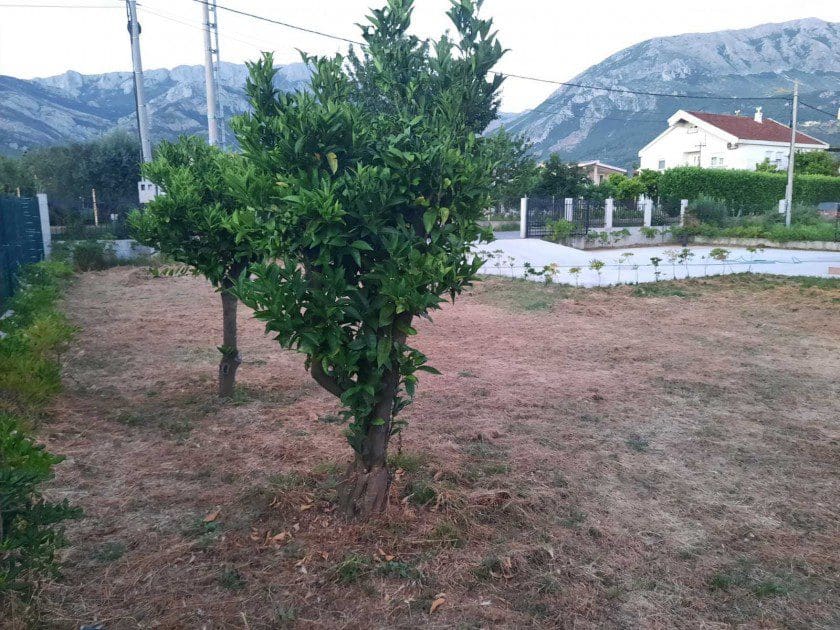 Bar'da satılık şirin ev — Karadağ