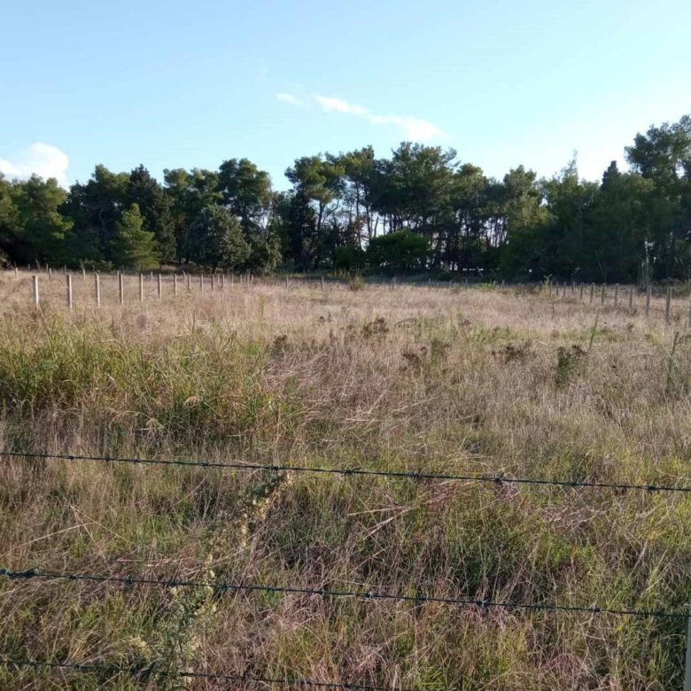 Seafront land plot for sale in Ulcinj — Montenegro