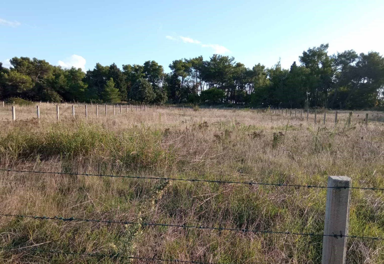 Seafront land plot for sale in Ulcinj — Montenegro