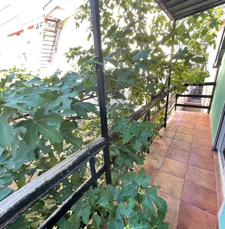 The House for sale in Sutomore — Montenegro