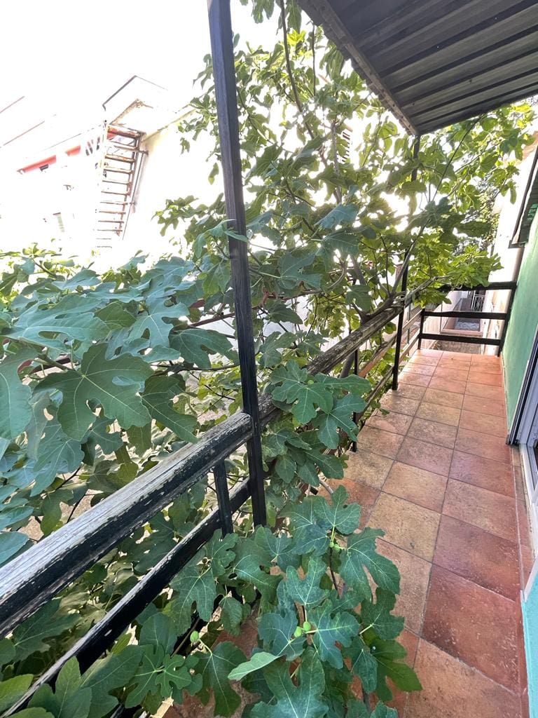 The House for sale in Sutomore — Montenegro