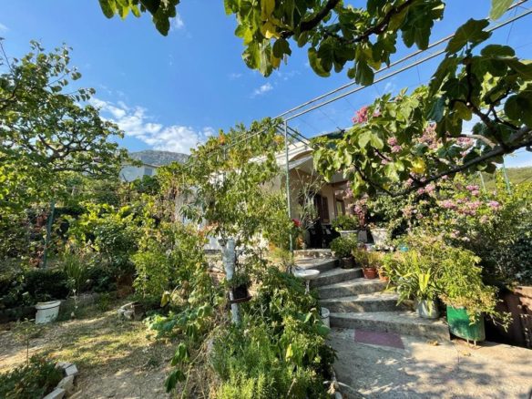 House with a big plot in Bar