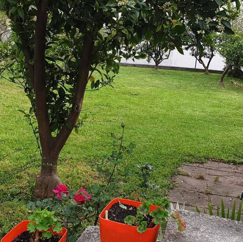 Dom na sprzedaż w Starym Barze — Czarnogóra