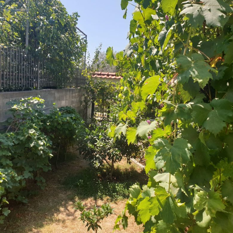 The Sea view house in Sutomore — Montenegro
