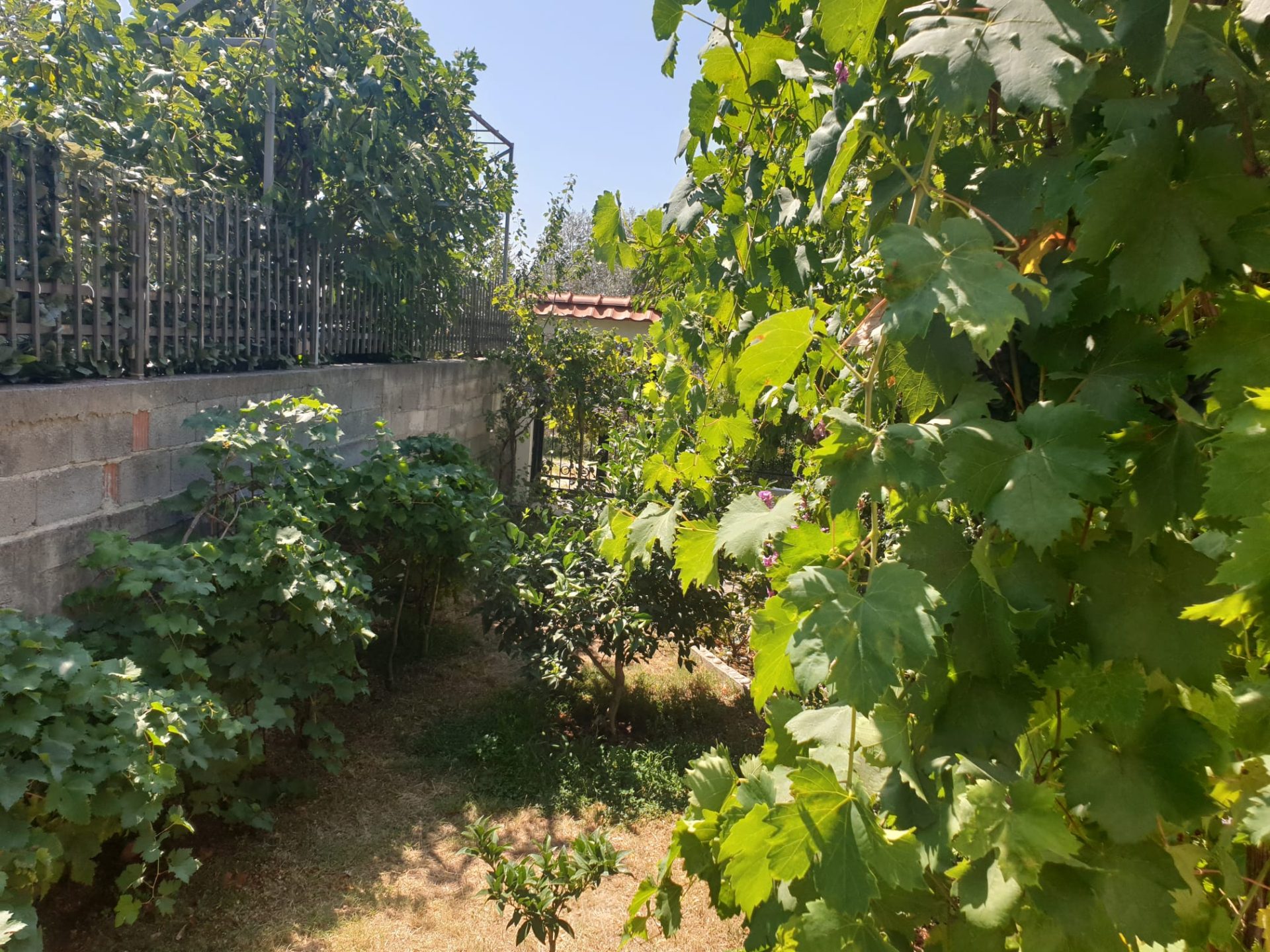 The Sea view house in Sutomore — Montenegro